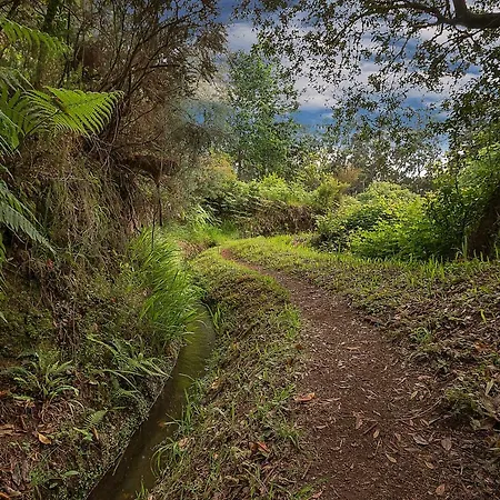 Appartement Bay Historic Center Funchal (Madeira)